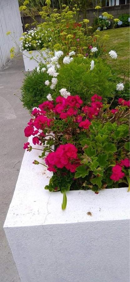 Casa Quinta Ferias Holiday home *